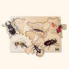 puzzle hmyz2