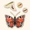 puzzle motyl4