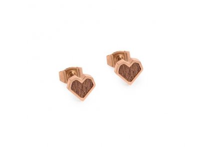 Rea Earrings Heart