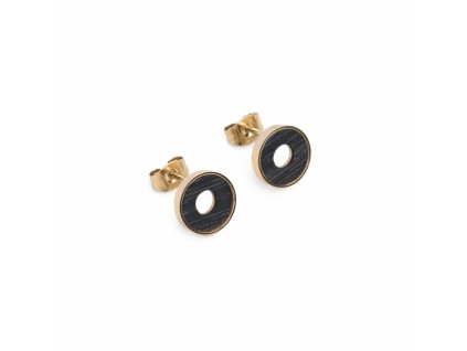 Lux Earrings Circle