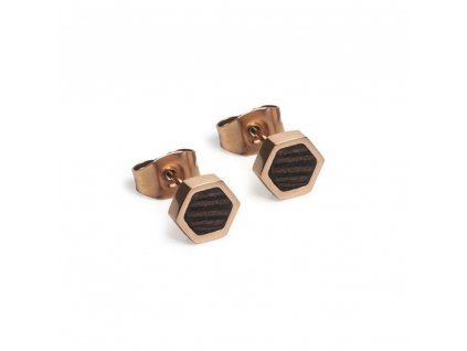 rose hexagon earrings
