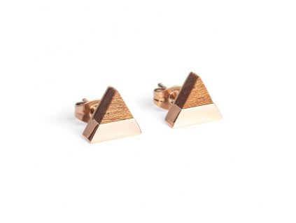 Rea Earrings Triangle