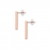 Bright Earrings Rectangle2