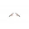 natural cute bird