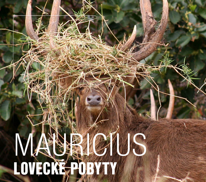 Lovecké pobyty Mauricius