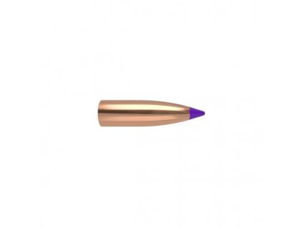 Střela Nosler, Varmint, 6mm, 55GR, Ballistic Tip Lead Free