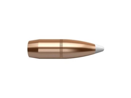 Střela Nosler, Accubond, 9,3mm, 250GR, Spitzer