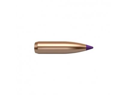 Střela Nosler, Ballistic Tip Hunting, 6mm/ .243", 95GR (6,1g), Ballistic Tip