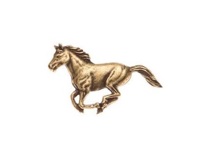 Kůň (odznak na klobouk)