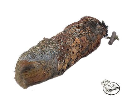 Bracco Bažant Dummy s peřím zesílený- váhy 250 g, 500 g, 1000 g (Varianta Bracco Dummy Bažant 250 g)