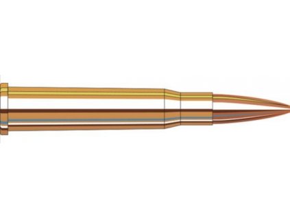 Náboj kulový Hornady, MATCH, 7,62x54R, 174GR (11,2g), BTHP