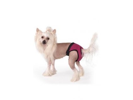 photo.136747