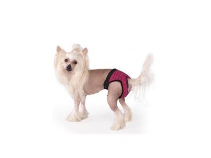 photo.136746