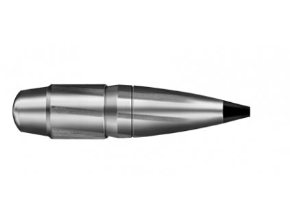 Střely RWS Speed Tip Pro 8,6mm, dia .338, 250grs, 2411038