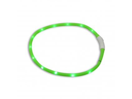 Svítící LED obojek pro psy, různé barvy - Zelená