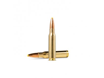 308 win soft point