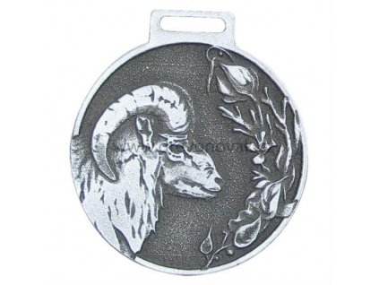 Medaile podle hodnocení CIC muflon č.847 - stříbrná medaile muflon