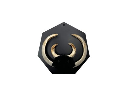 207 photoroom 20250401 164523