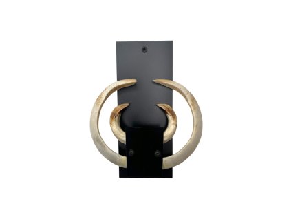 210 photoroom 20250401 164218