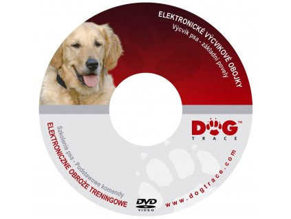 DVD Výcvik psa - základní povely