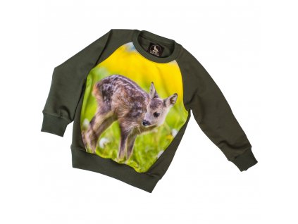 sweatshirt with a roe