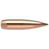 9995 53171 rdf 30 175gr bullet 1