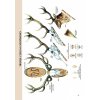 myslivecká zoologie 2