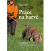 barvari2