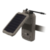 17617 gsm stc solp 2