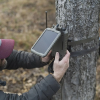 17617 gsm stc solp 6