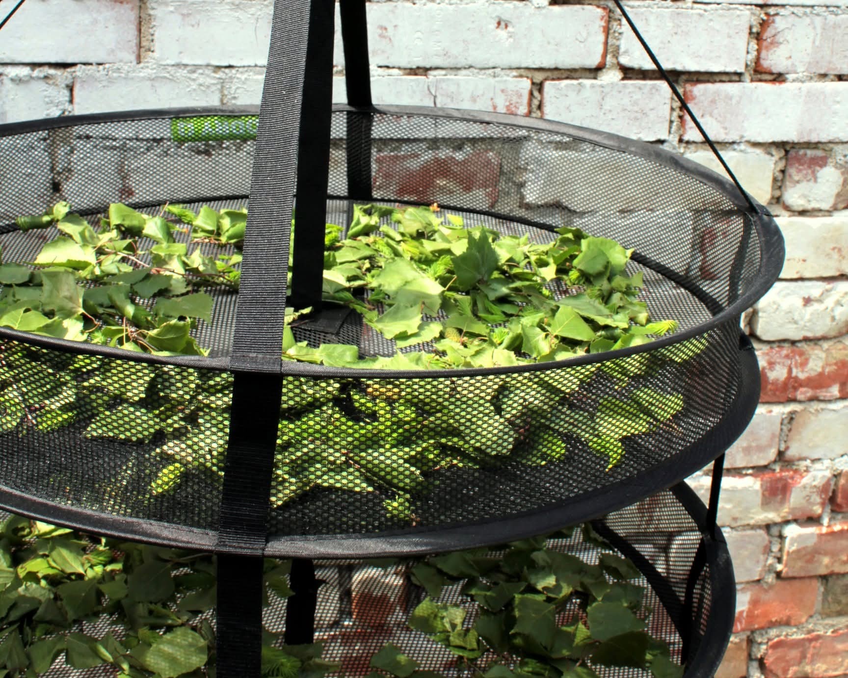 Sušíme zdravě a bez energie!