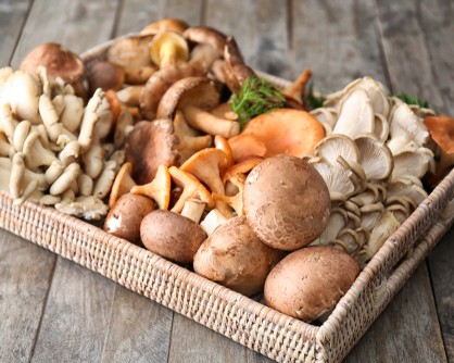 Jediný obchod s nabídkou čerstvých lesních hub v Praze!