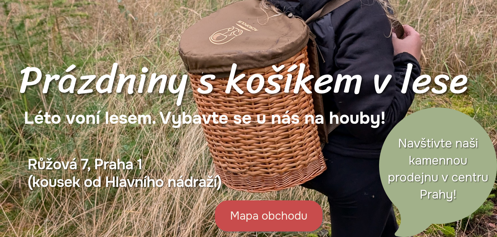 prázdniny