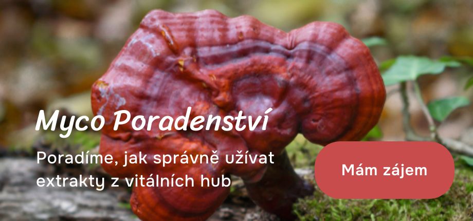 Myco poradenství