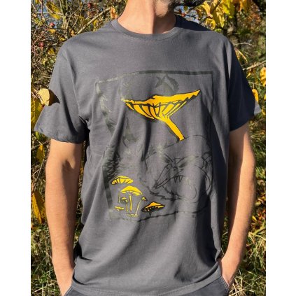 Pánské tričko "Lišky"