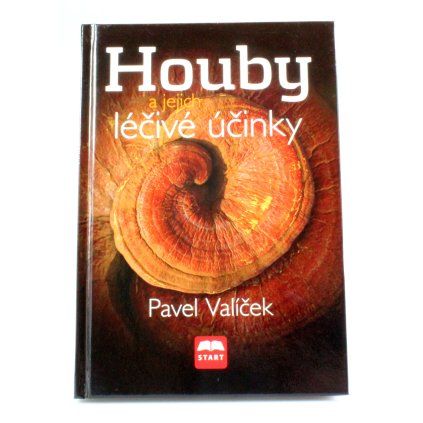 Houby a jejich léčivé účinky