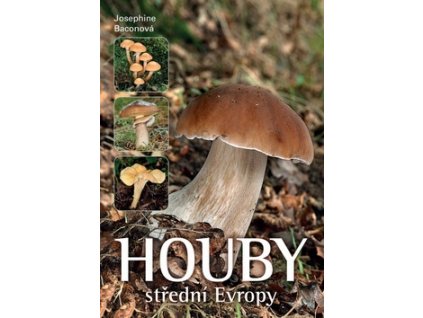 houby stredni evropy