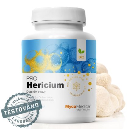 hericium detail s razitkem kopie.761696527