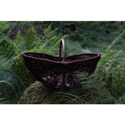 21743740 1650079601731925 8604485387640974798 o