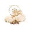 hericium hower kopie.761696527