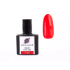 GP29 NEON CYCLAM 1