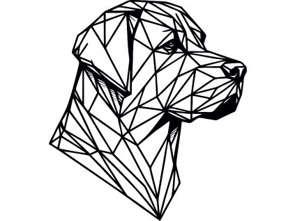 labrador