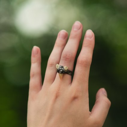 Prsten se žraločím zubem