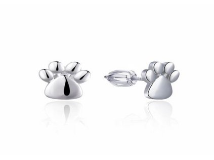 strieborne-nausnice-labka-e0004455