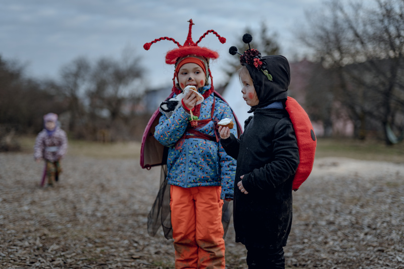 Pedagogická koncepcia Rozmarínu