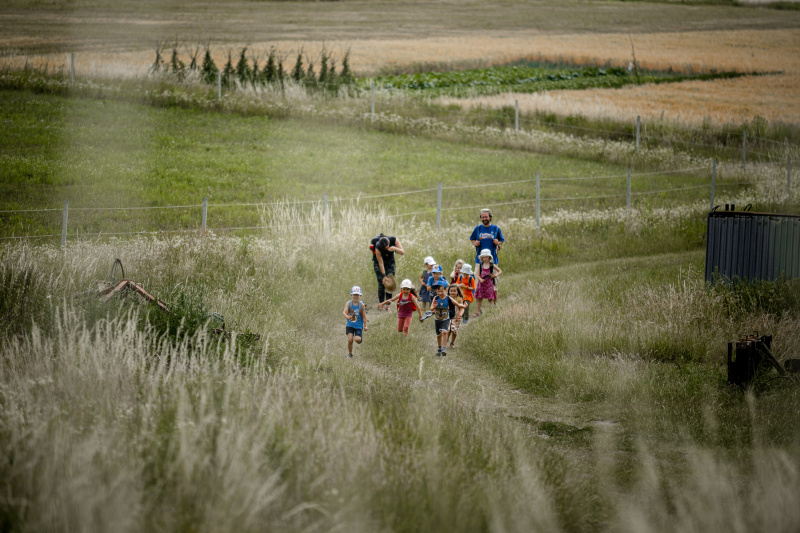 Rozmarín v prírode