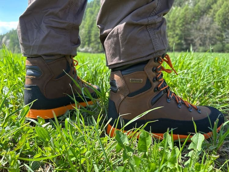 cofra-clanok-lesnyobuvnik