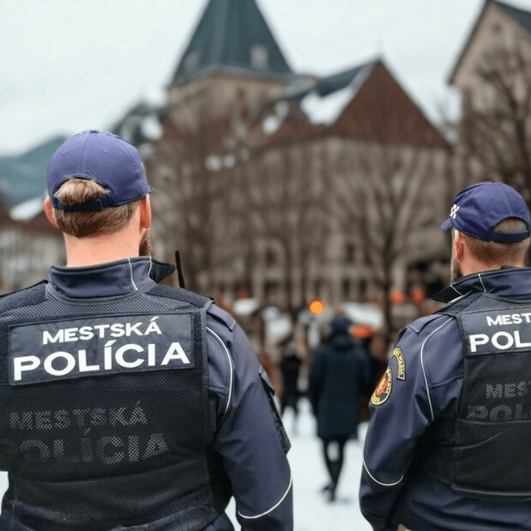 mestksa-policia-clanok-lesnyobuvnik