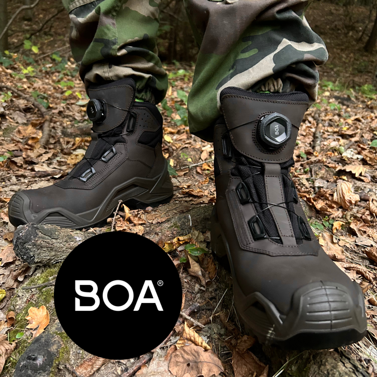boa-nahlad-lesnyobuvnik