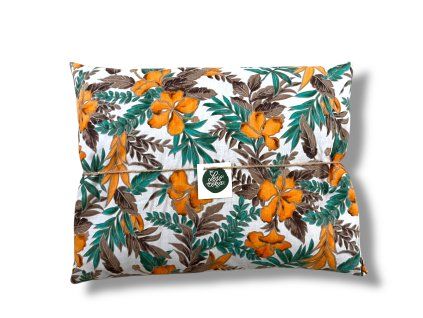 Afrika stÅednÃ­ 2